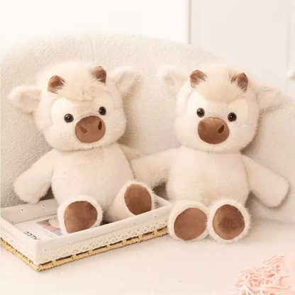 RunnyTeddy | El Regalo Perfecto